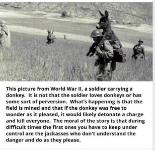 Donkey on Solider's Shoulder